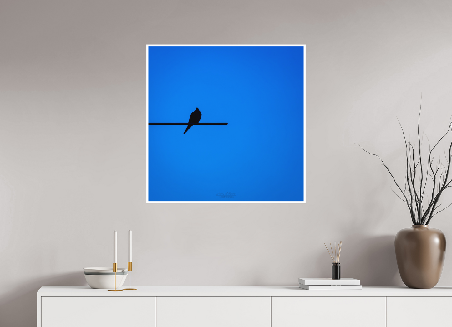30 x 30″, Photo Print with Matte Lamination (08D) Bird Silhouette in Blue