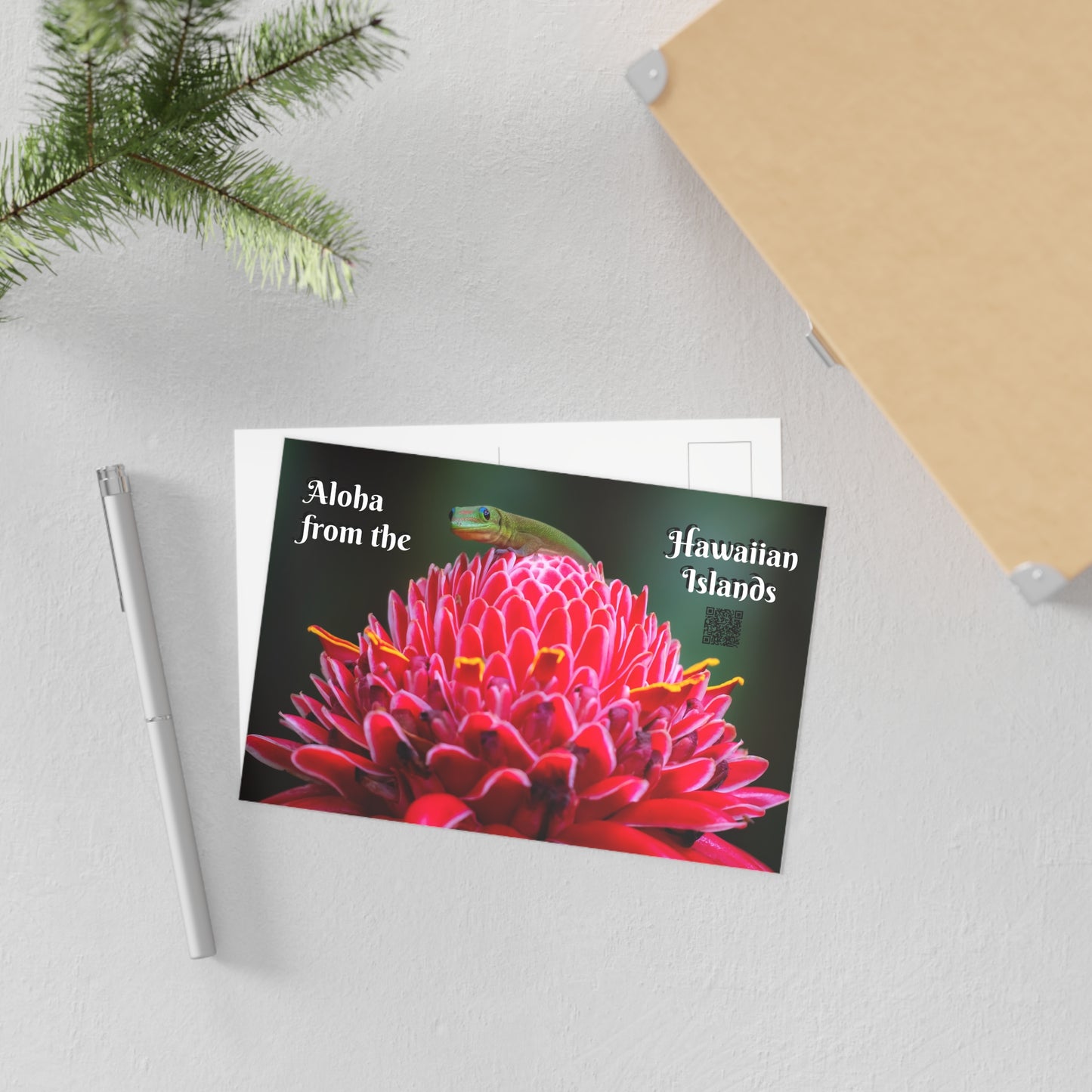 (01C) Postcard (1) - Hawaii Island Gecko