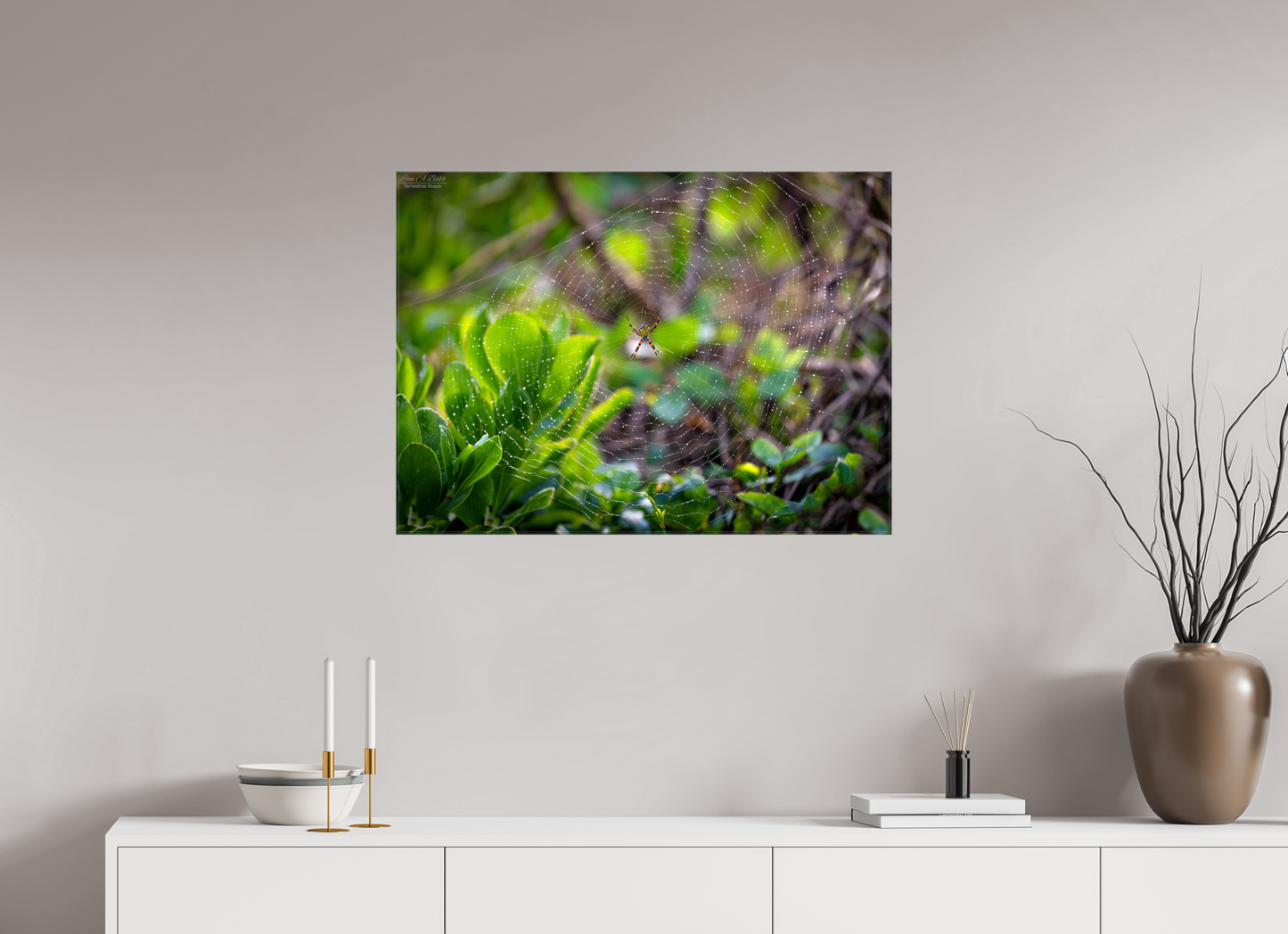 33 x 24″, Glossy Canvas Stretcher Frame with Mirrored Edges Hawaiian Garden Spider Web