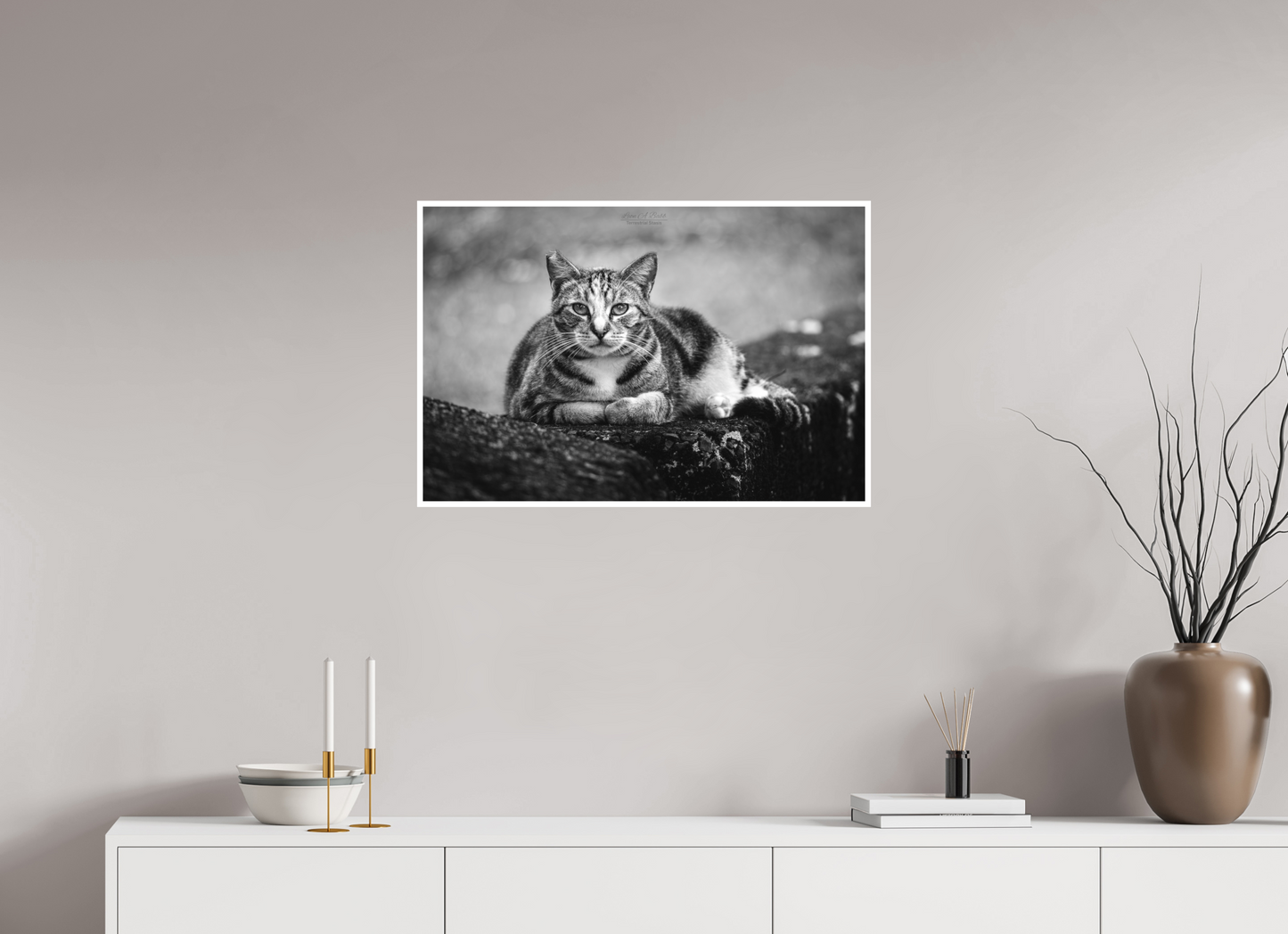 30 x 20″, Photo Print with Matte Lamination (08G) Hawaii Strays in BnW