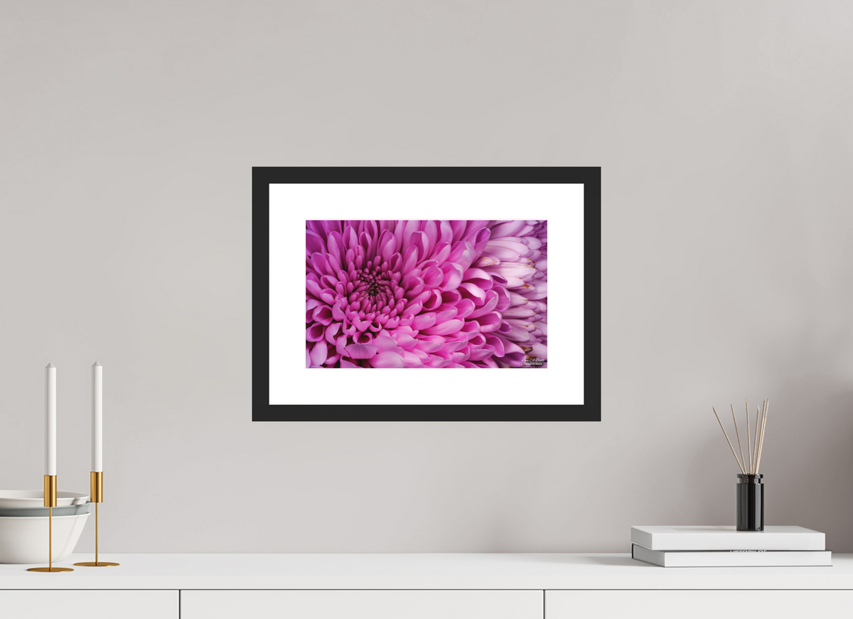 12.8 x 8″, Classic Black Matte Wood Frame ???