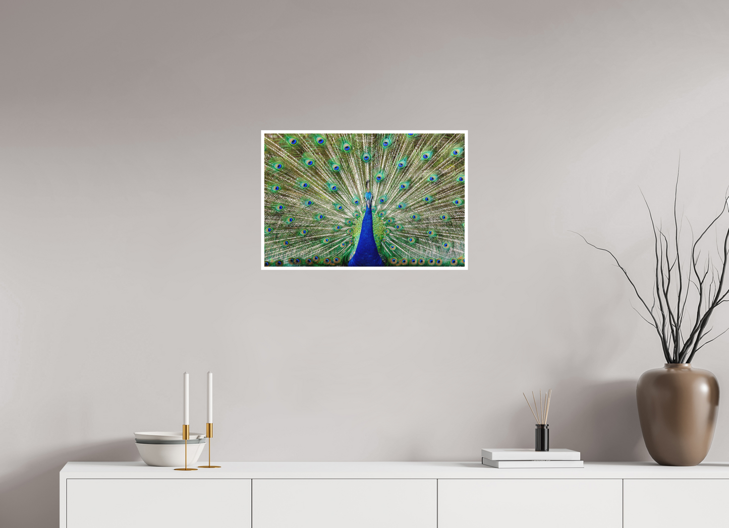 24 x 16″, Photo Print with Matte Lamination (08C) Peacock Display