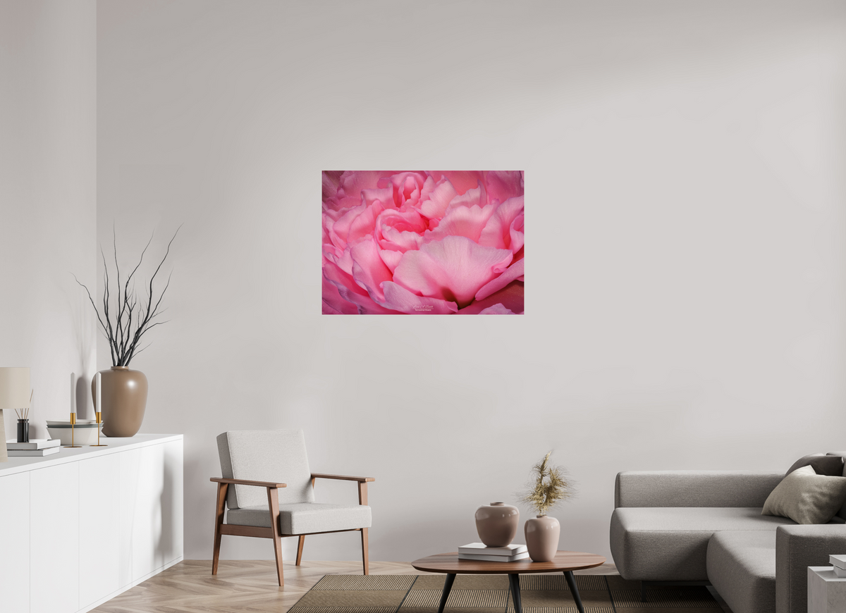39.2 x 28″, Photo Print Under Acrylic Glass Radiant Pink Petals