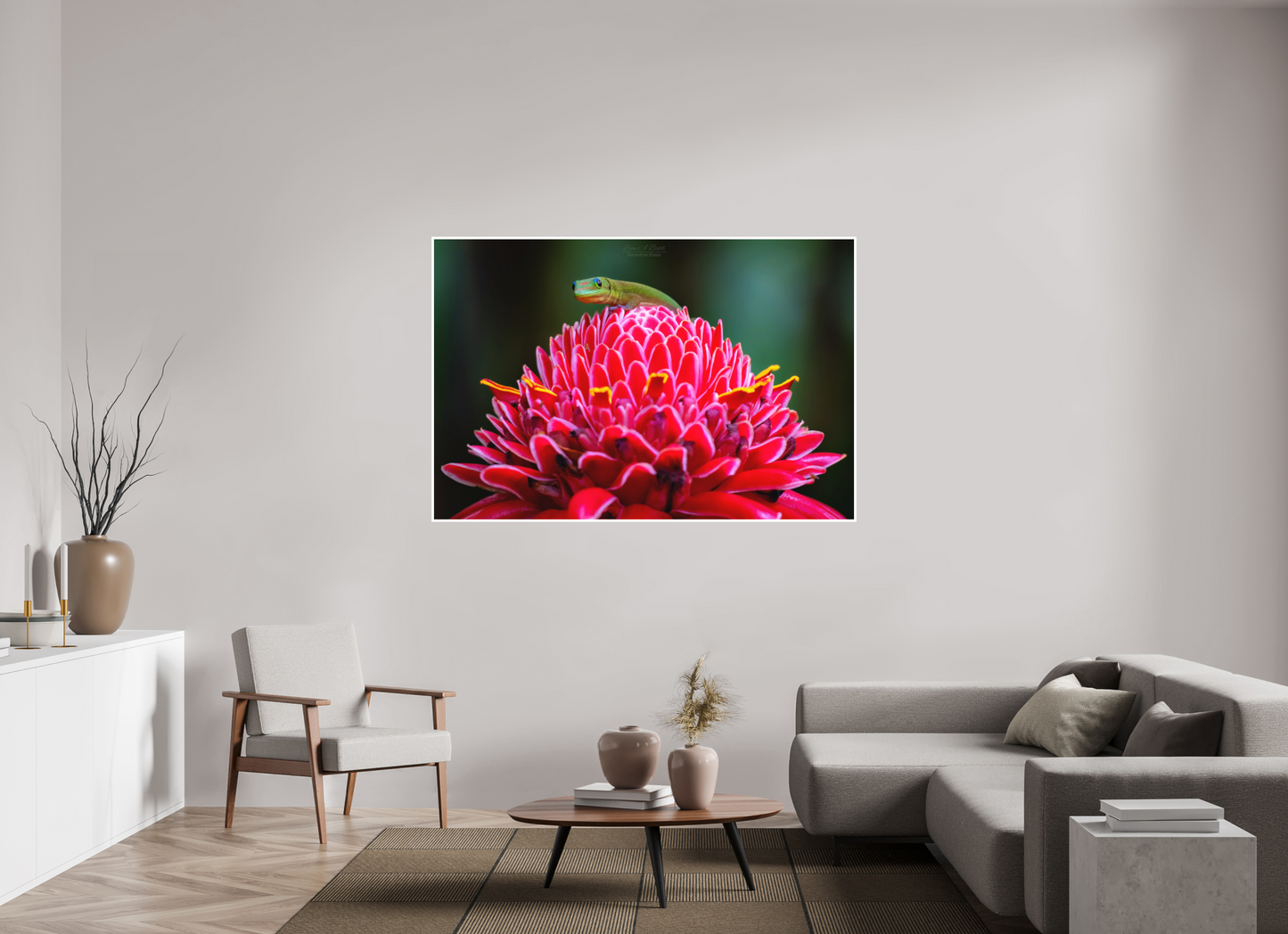 66 x 44″, Photo Print with Matte Lamination (08F) Gecko on a flower