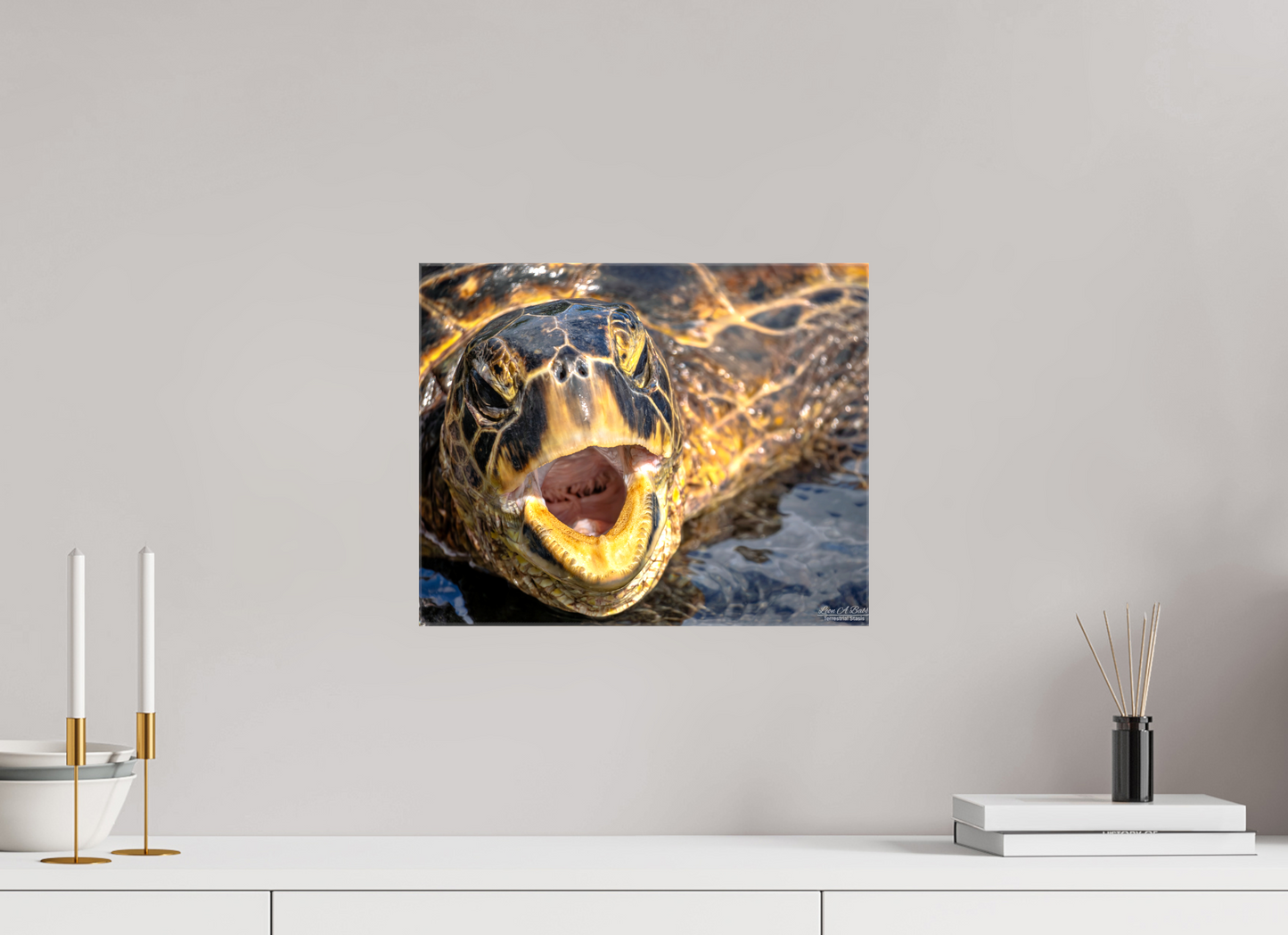 15 x 12″, Glossy Canvas Stretcher Frame with Mirrored Edges (000) Honu’s Serenade