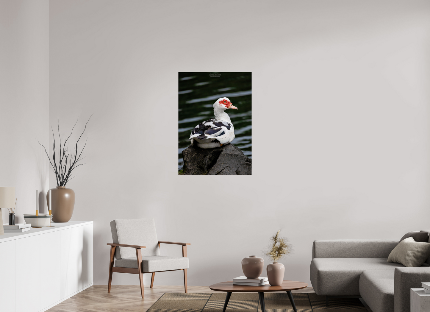 28 x 39.2″, Photo Print Under Acrylic Glass (08T) Female Muscovy Duck Portrait