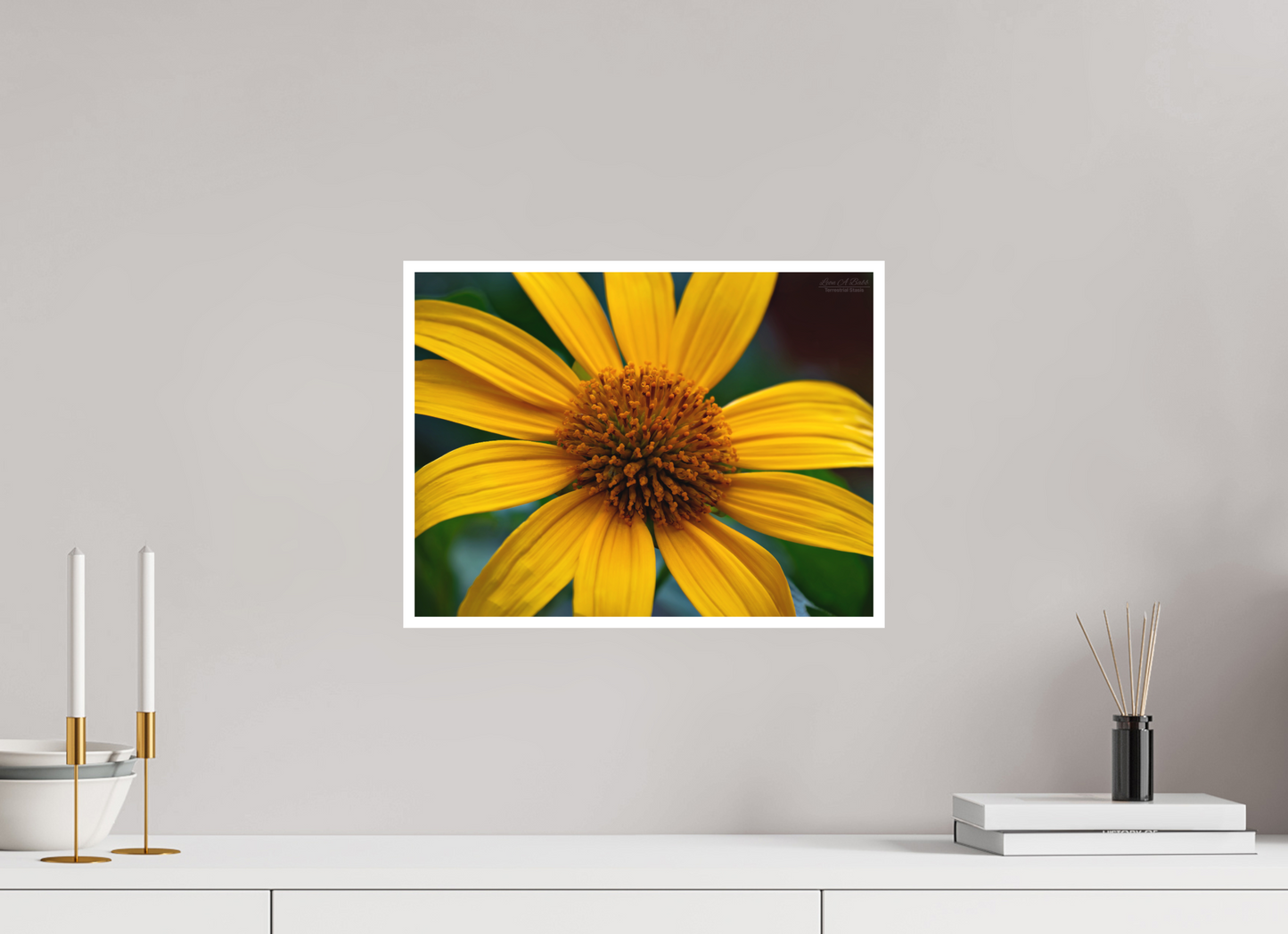 16 x 12″, Photo Print with Matte Lamination (07A) Yellow Flower