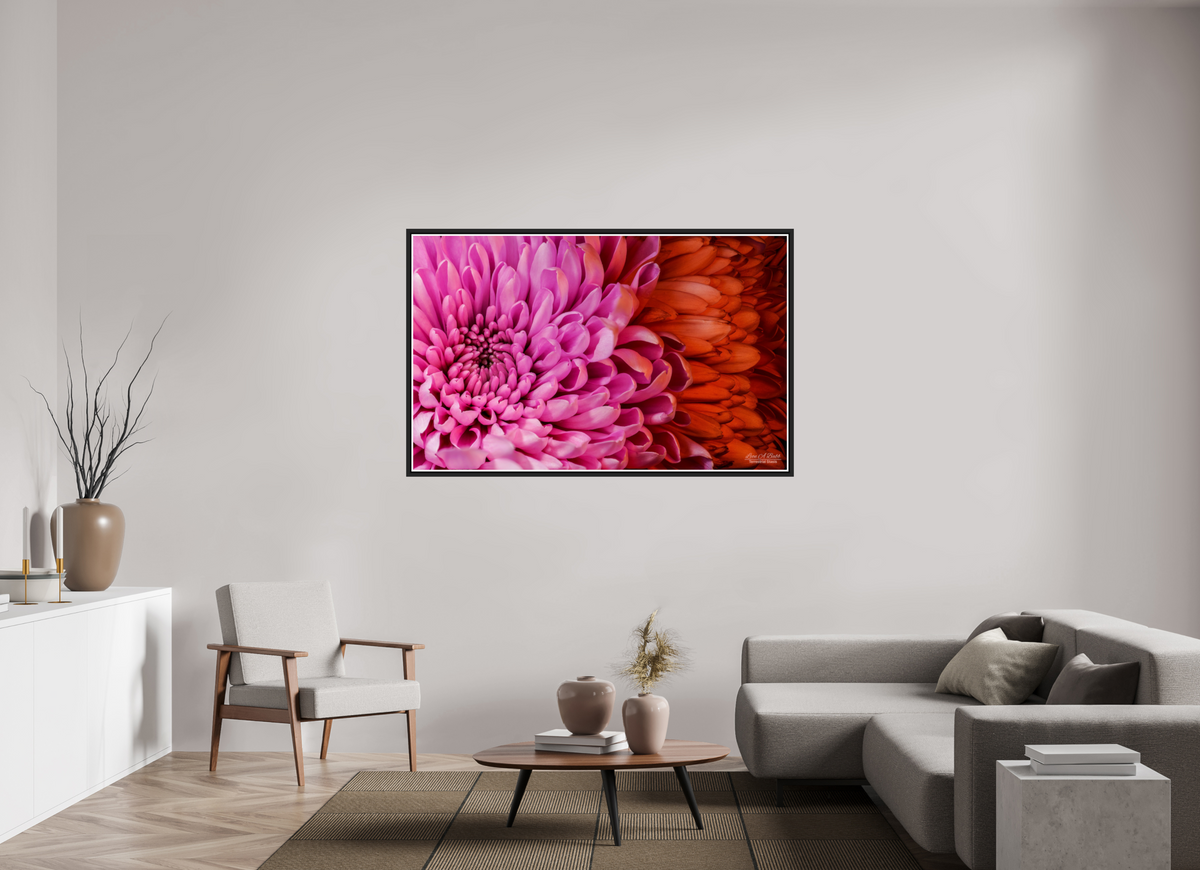 62.4 x 39″, Black Matte Floater Frame with Acrylic Glass ??