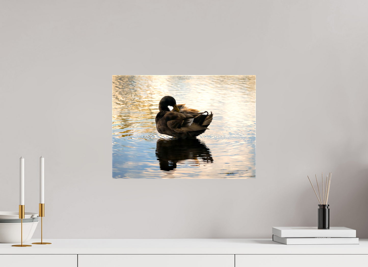 16.8 x 12″, Glossy Canvas Stretcher Frame with Mirrored Edges (08C) Quiet Drift on Wailoa River