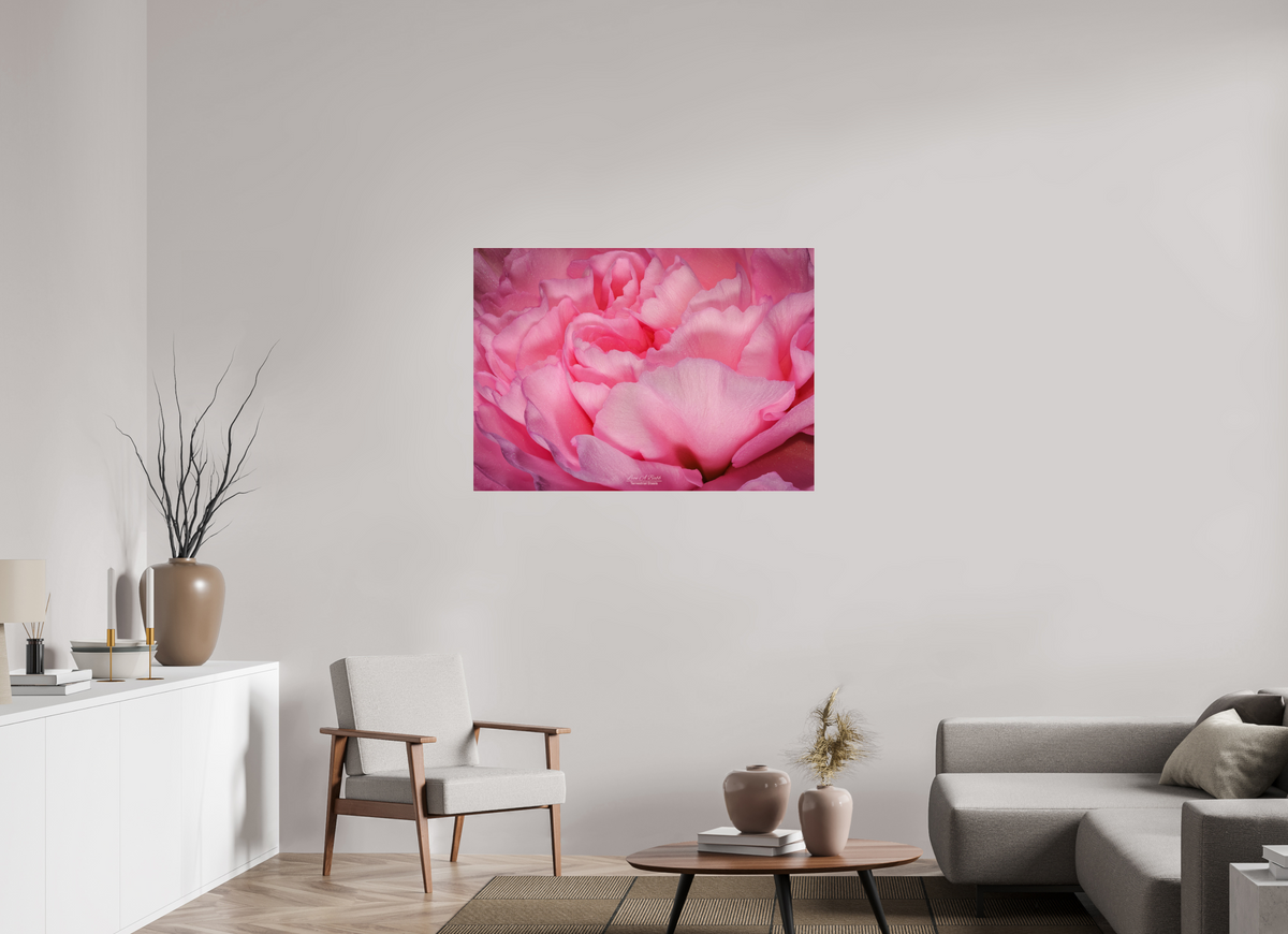 43.4 x 31″, Photo Print Under Acrylic Glass Radiant Pink Petals