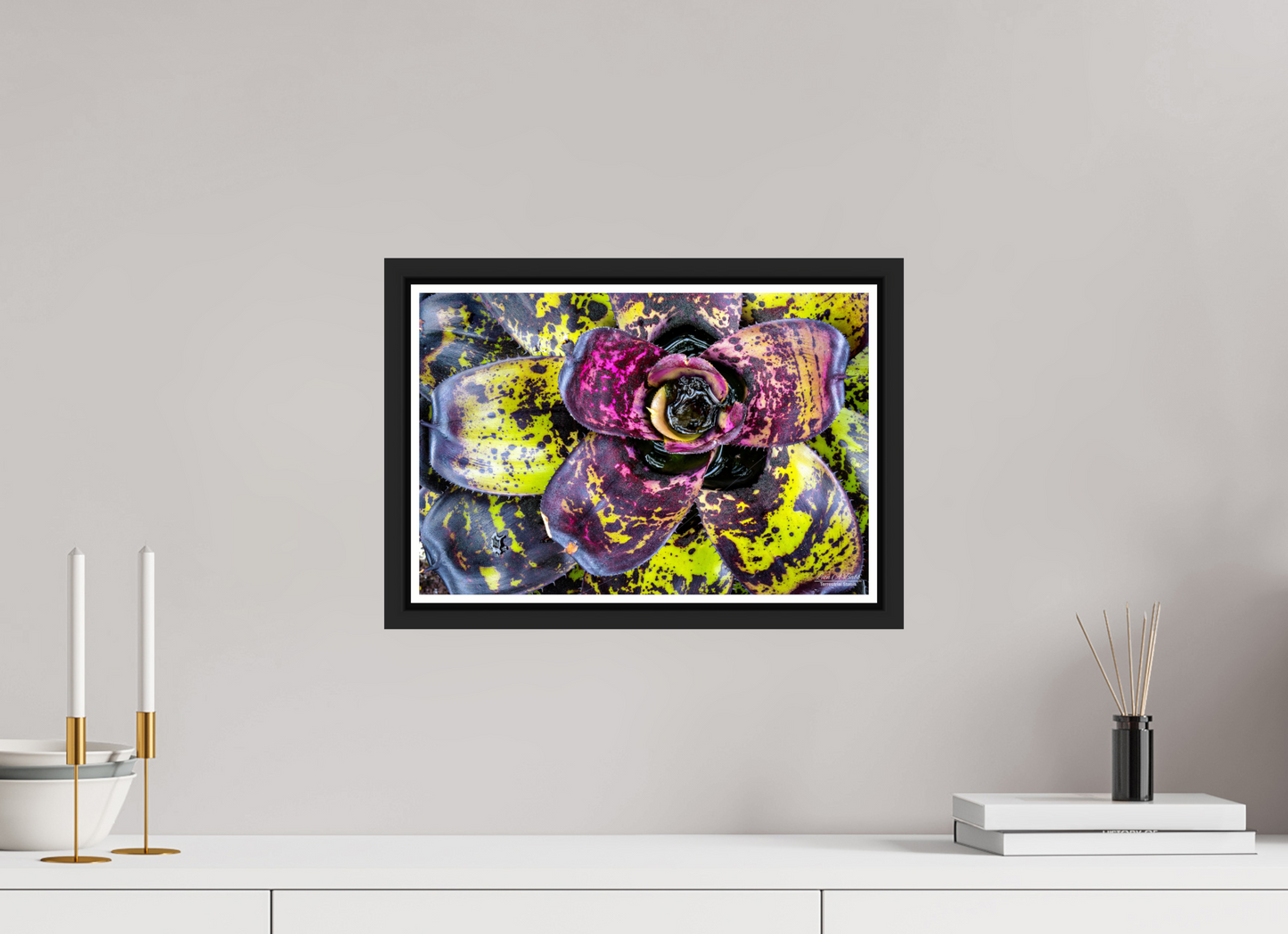 15 x 10″, Black Matte Floater Frame with Acrylic Glass (07B) Colorful Plant