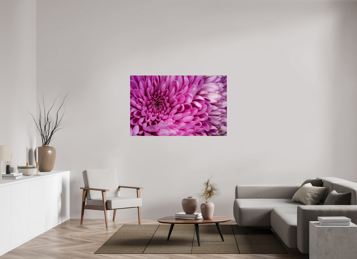 56 x 35″, Print with Aluminum Backing and Glossy Lamination ???