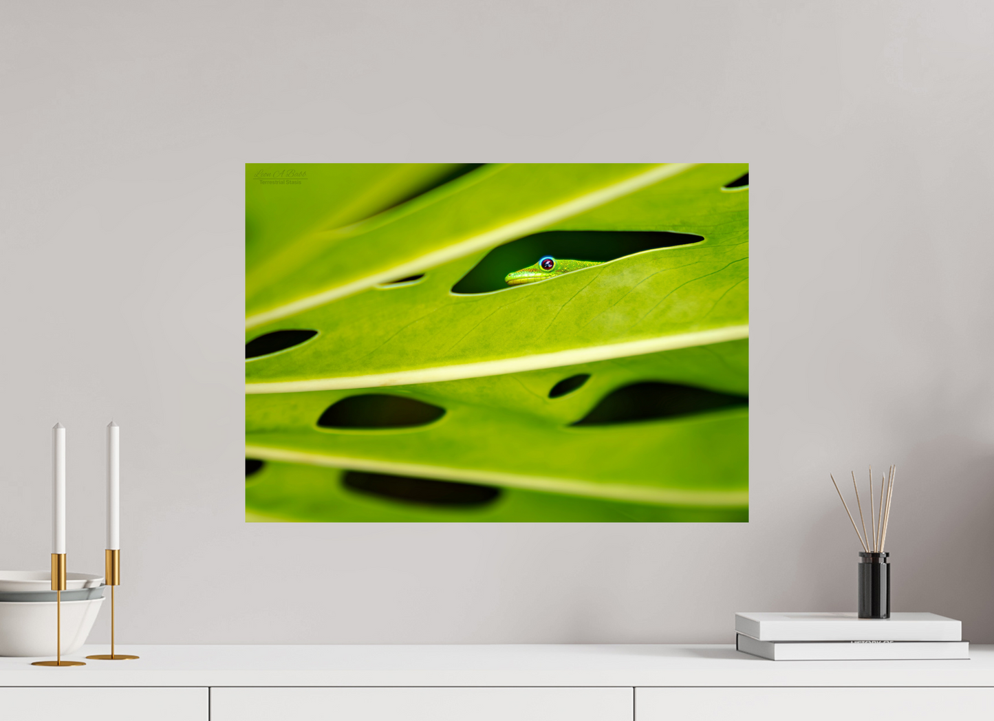 (08E) Hidden Gecko