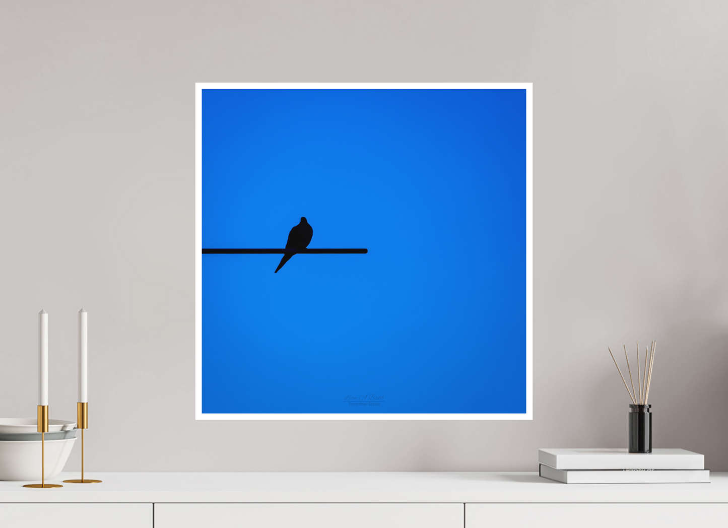 20 x 20″, Photo Print with Matte Lamination (08D) Bird Silhouette in Blue