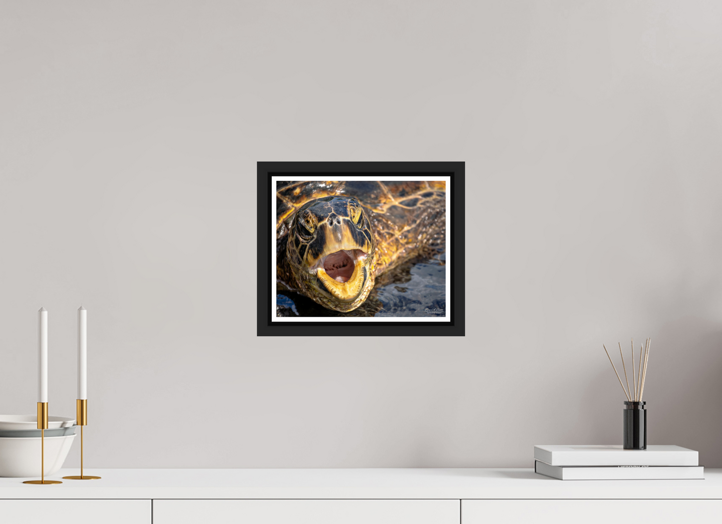 10 x 8″, Black Matte Floater Frame with Acrylic Glass (000) Honu’s Serenade