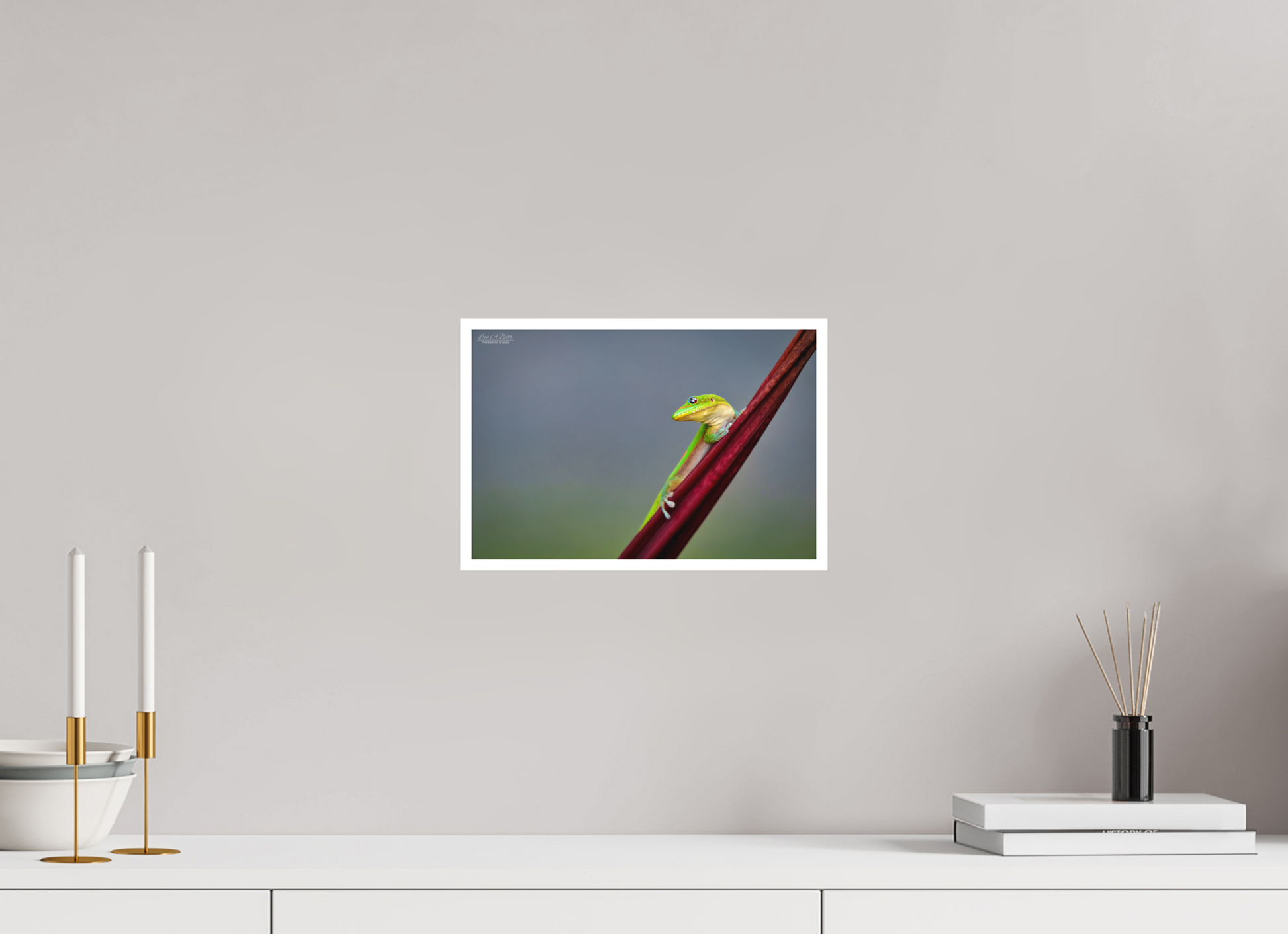 12 x 8″, Print with Matte Lamination (08Q) Quiet Gaze