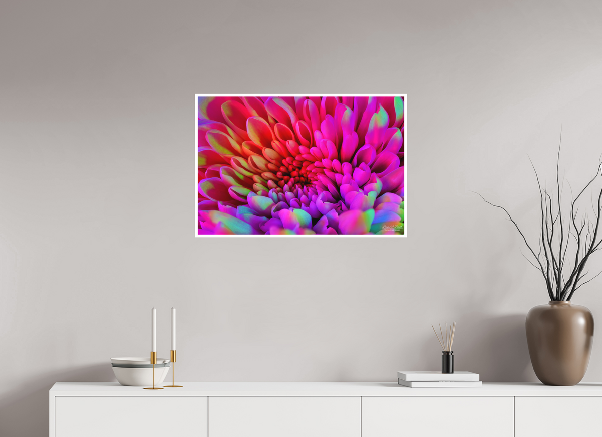30 x 20″, Print with Matte Lamination ????