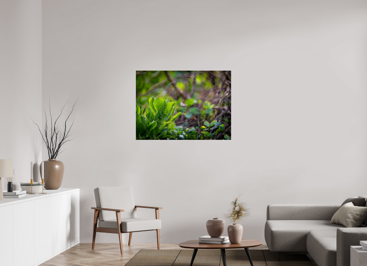 42.6 x 31″, Photo Print Under Acrylic Glass Hawaiian Garden Spider Web