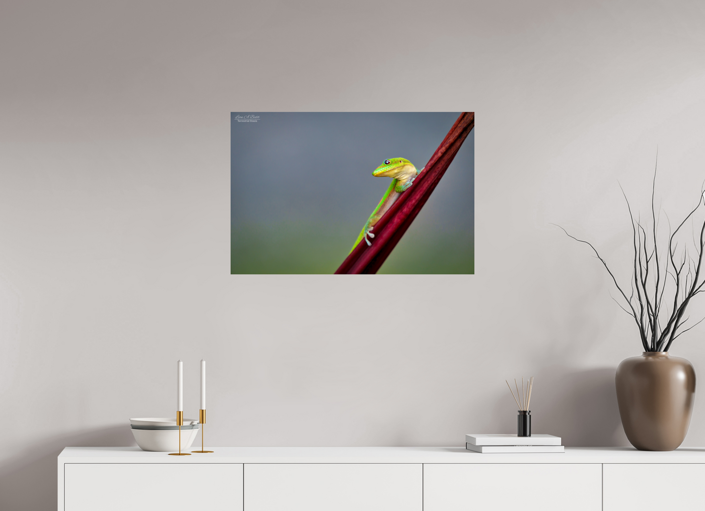 30 x 20″, Print with Aluminum Backing and Glossy Lamination (08Q) Quiet Gaze