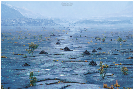 Main image (10A) Solitude at kilauea iki