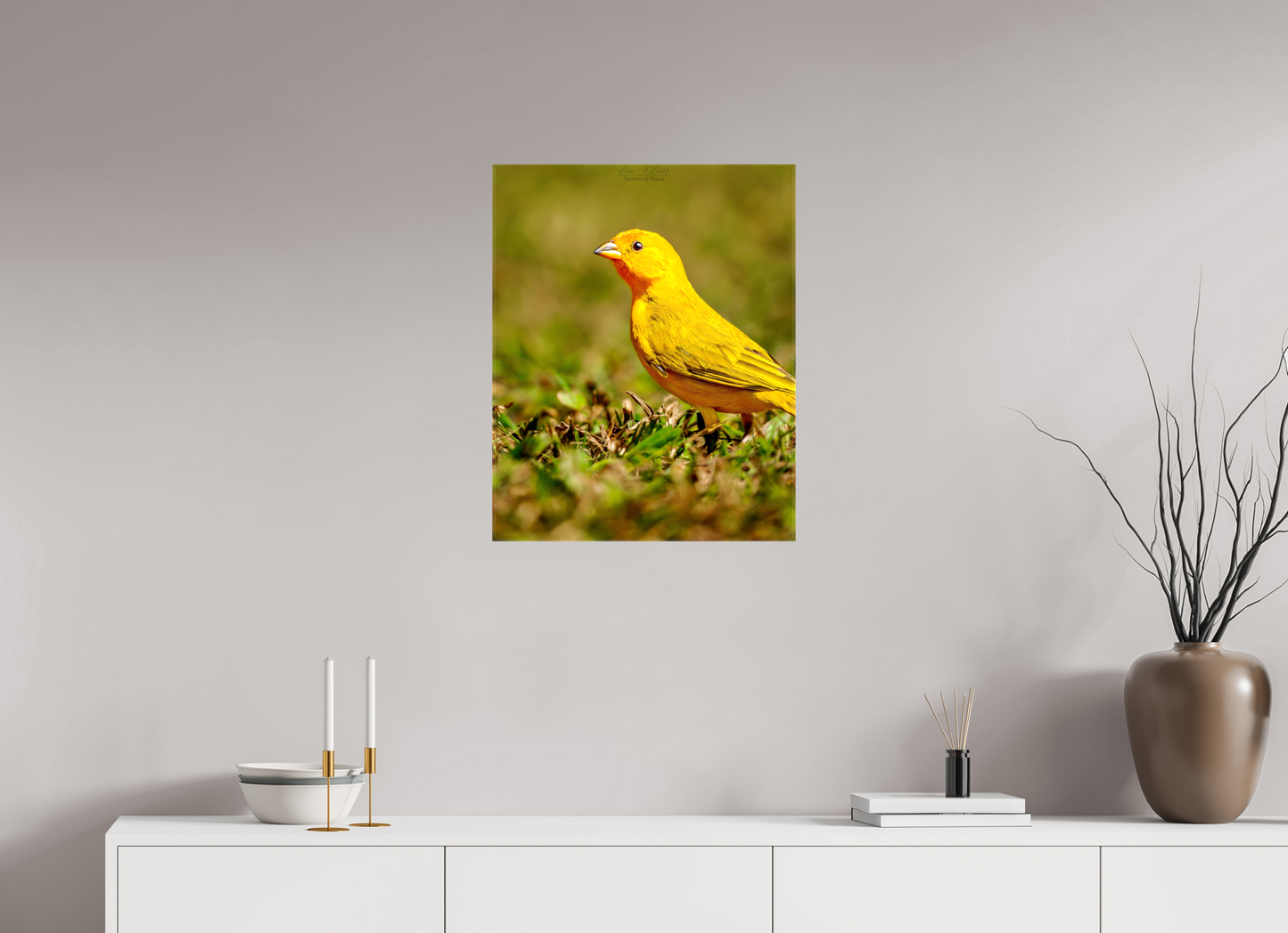 20 x 25″, Glossy Canvas Stretcher Frame with Mirrored Edges (08DD) Halcyon