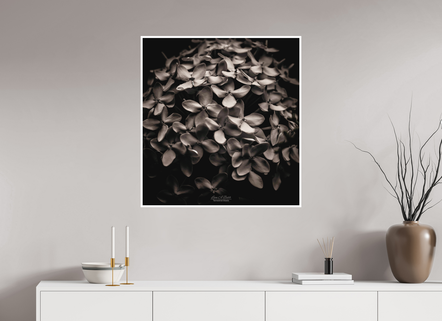 31 x 33″, Photo Print with Matte Lamination (07D) Monochrome Garden