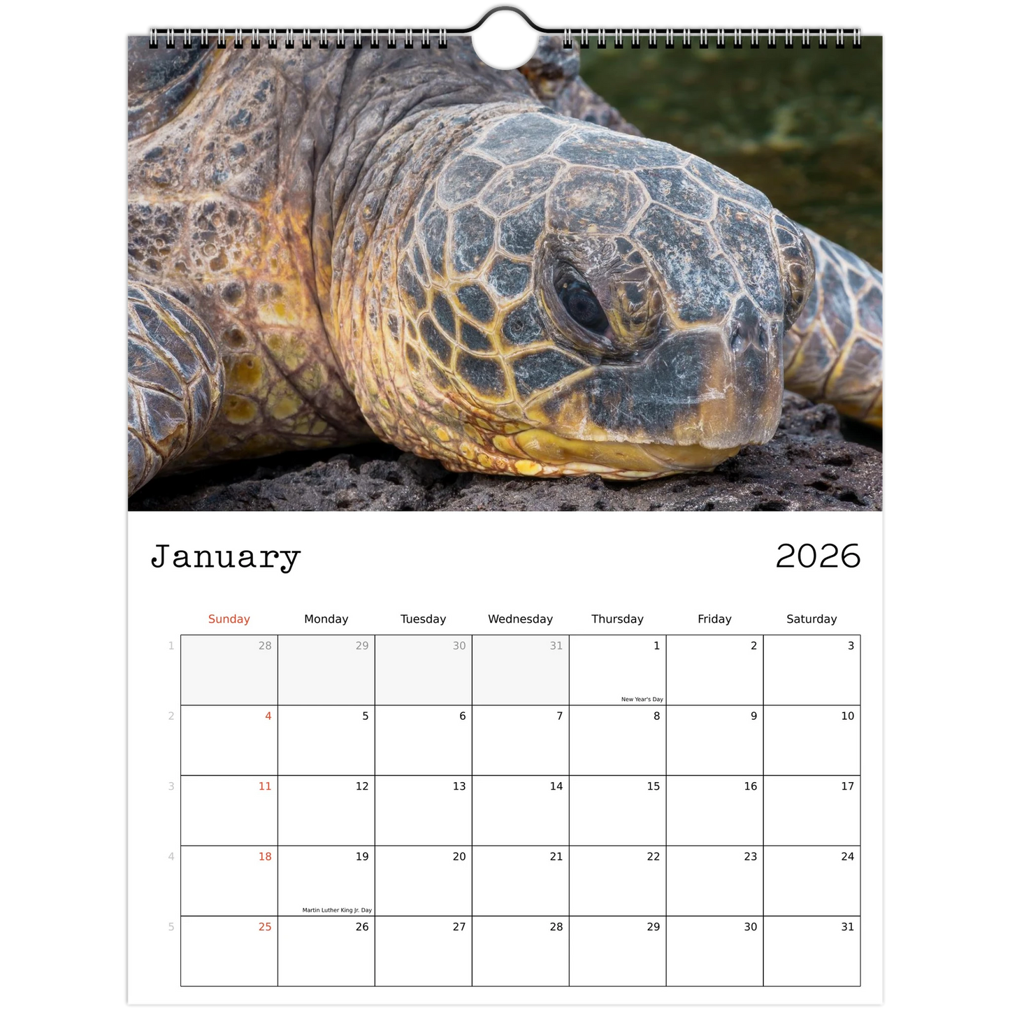 835cabb1-8ba4-4e66-8545-2fe9dd40cf13