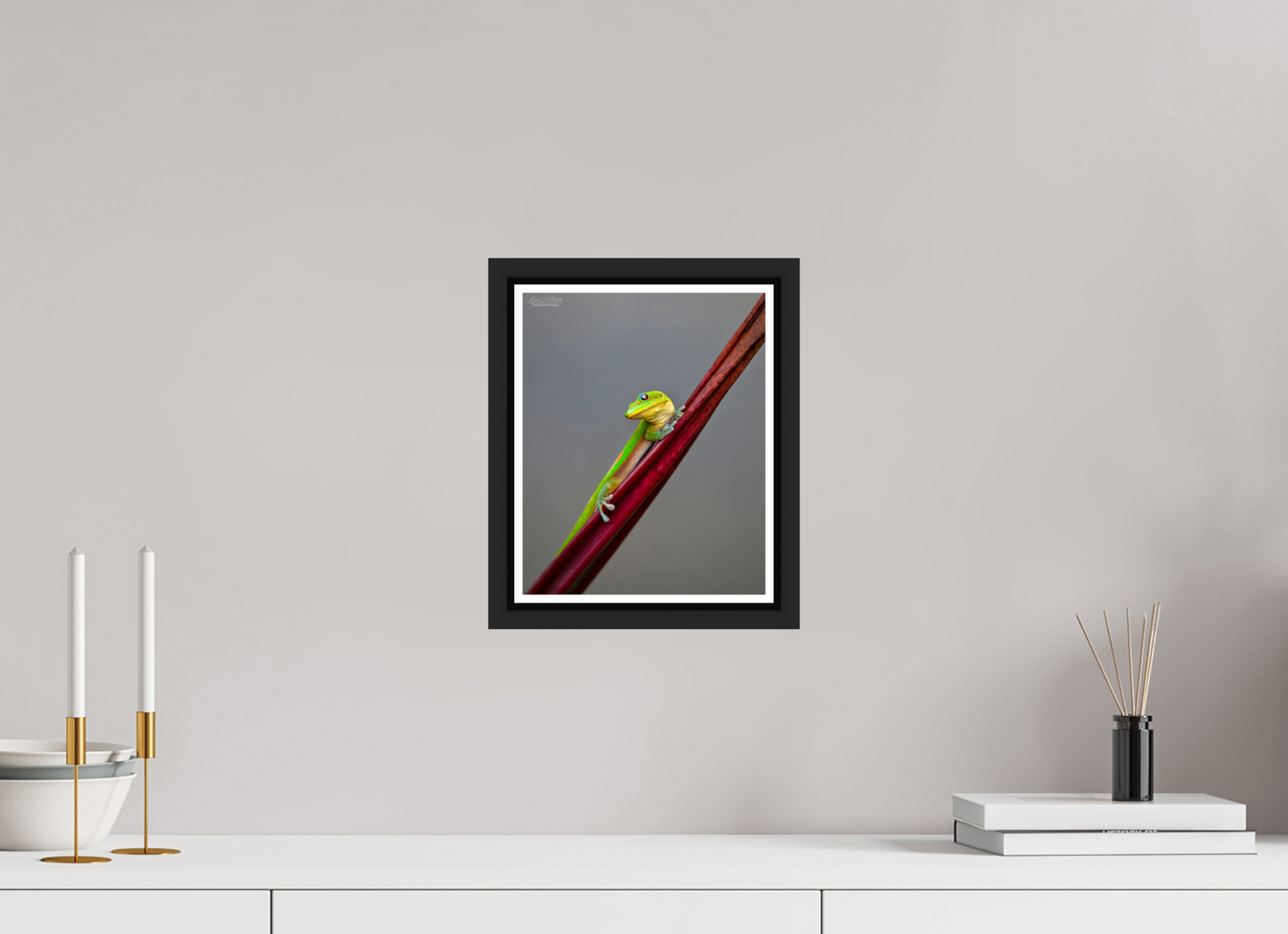 8 x 10″, Black Matte Floater Frame with Acrylic Glass (08R) Focused Stare