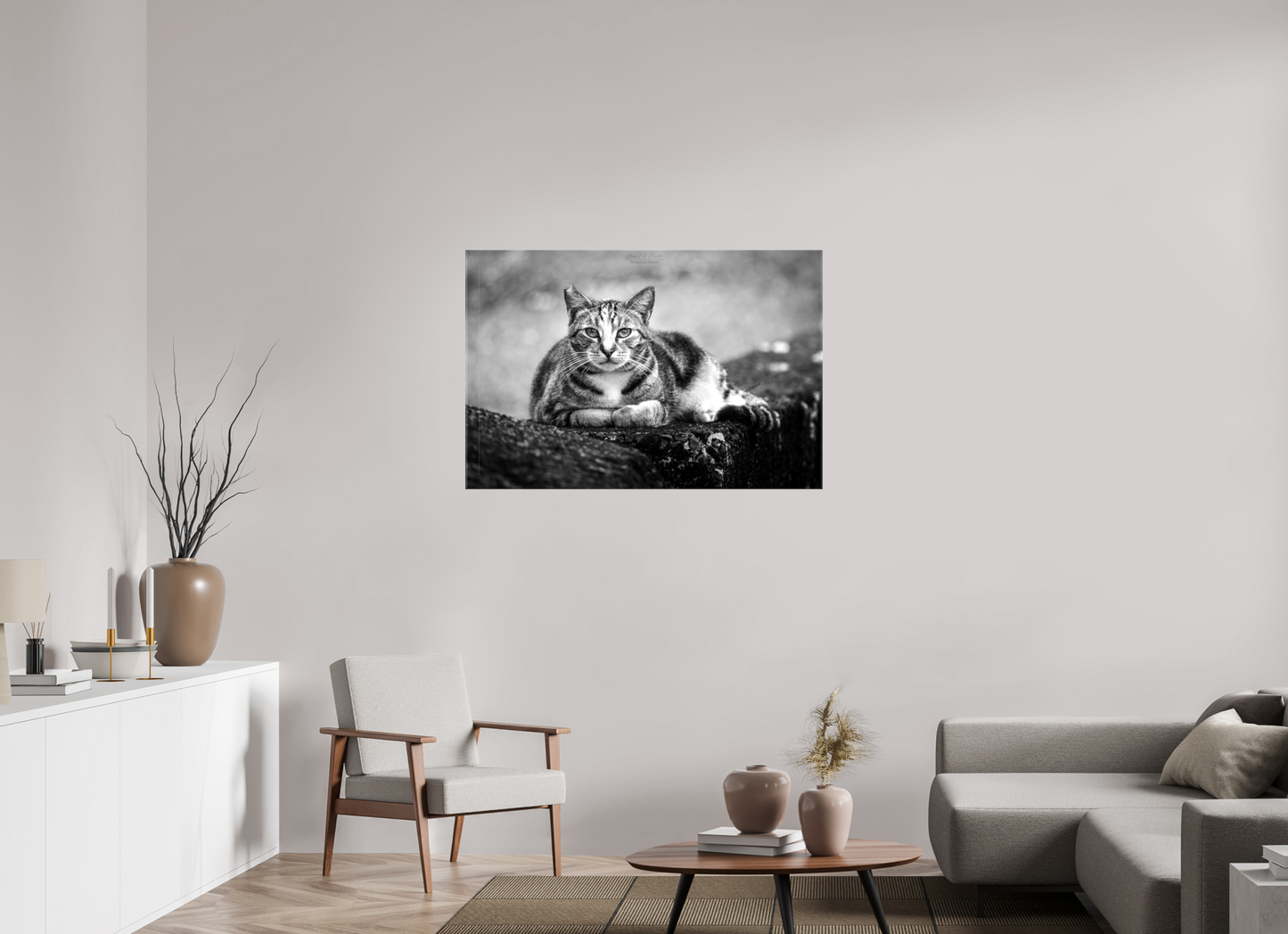 (08G) Hawaii Strays in BnW