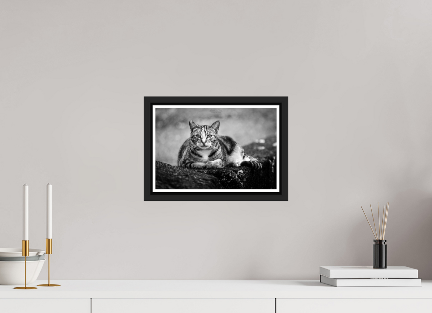 12 x 8″, Black Matte Floater Frame with Acrylic Glass (08H) Soul of the Park