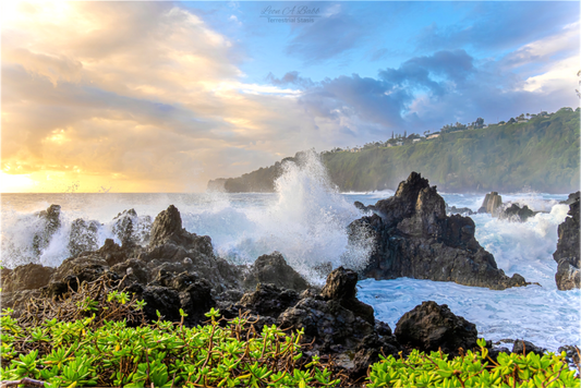(04A) Big Waves at the Coast