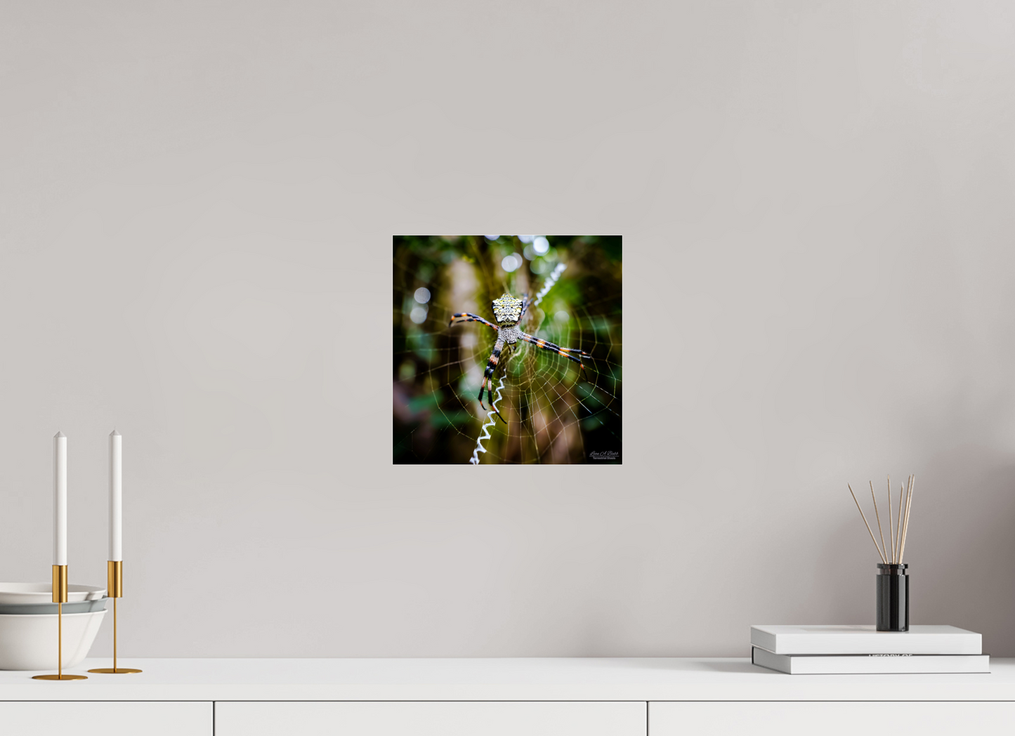 10 x 10″, Photo Print Under Acrylic Glass (09A) The Architect