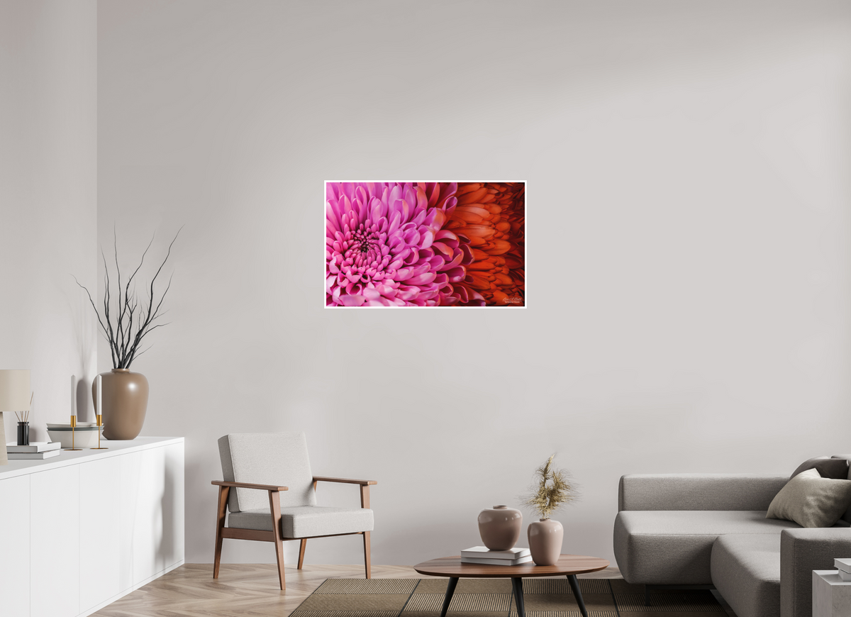 38.4 x 24″, Print with Matte Lamination ??