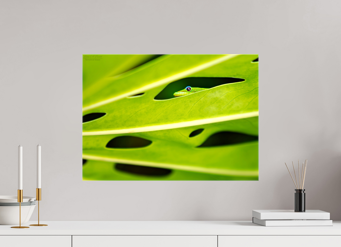 (08E) Hidden Gecko