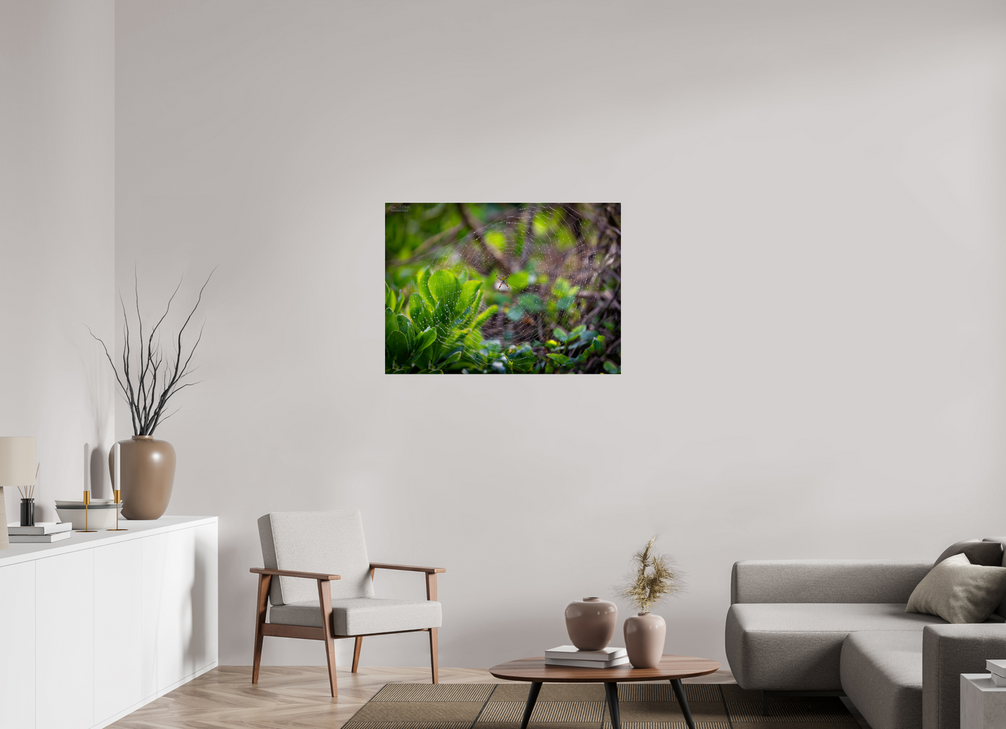 38.5 x 28″, Photo Print Under Acrylic Glass Hawaiian Garden Spider Web