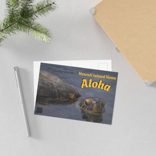 (01B) Postcard (1) - Hawaii Island Honu