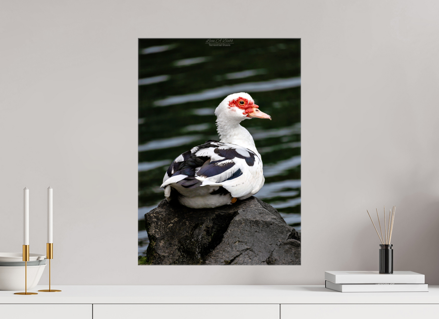 16 x 22.4″, Glossy Canvas Stretcher Frame with Mirrored Edges (08T) Female Muscovy Duck Portrait