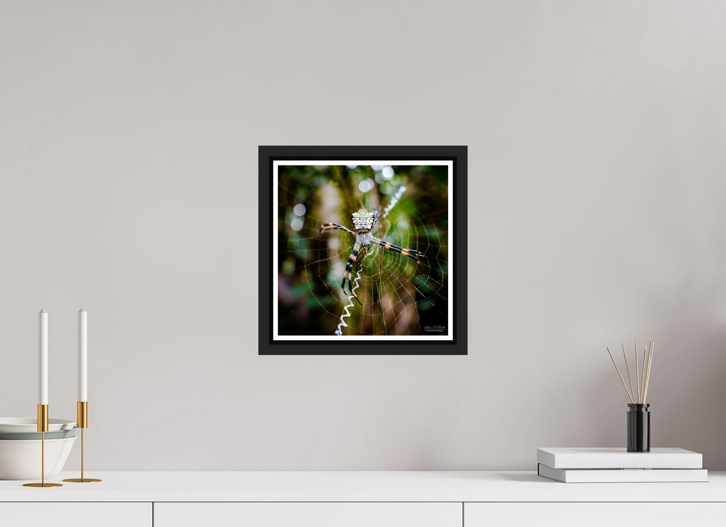 10 x 10″, Black Matte Floater Frame with Acrylic Glass (09A) The Architect