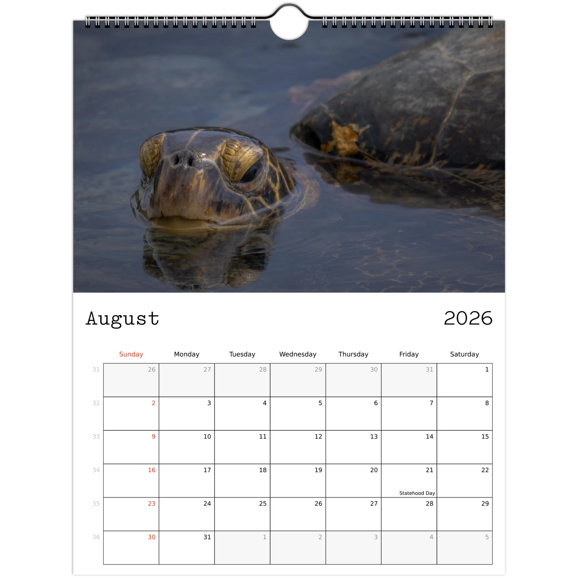 88853961-afc5-4df2-8c57-275006334ec7