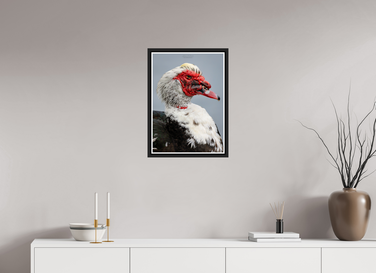 16 x 22.4″, Black Matte Floater Frame with Acrylic Glass (08S) Male Muscovy Duck Portrait