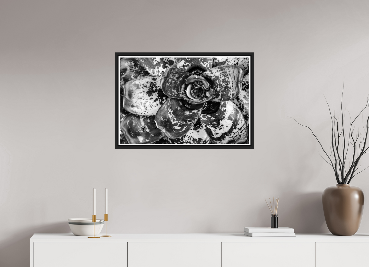 30 x 20″, Black Matte Floater Frame with Acrylic Glass (07C) BnW Plant
