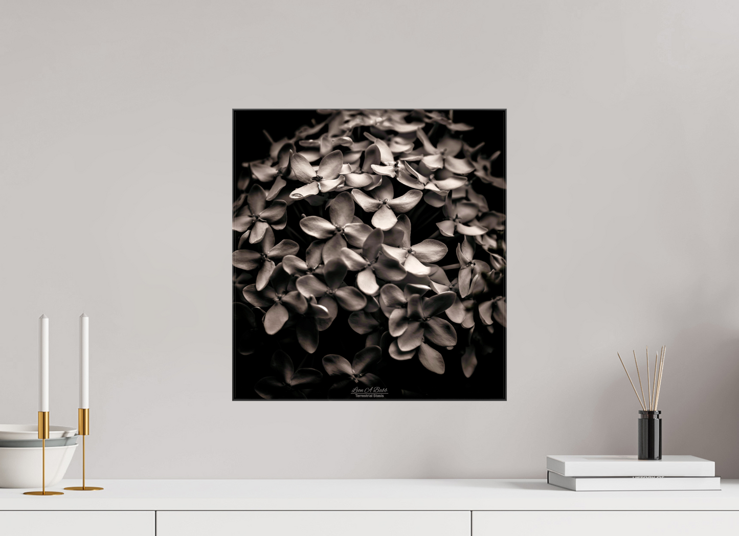(07D) Monochrome Garden