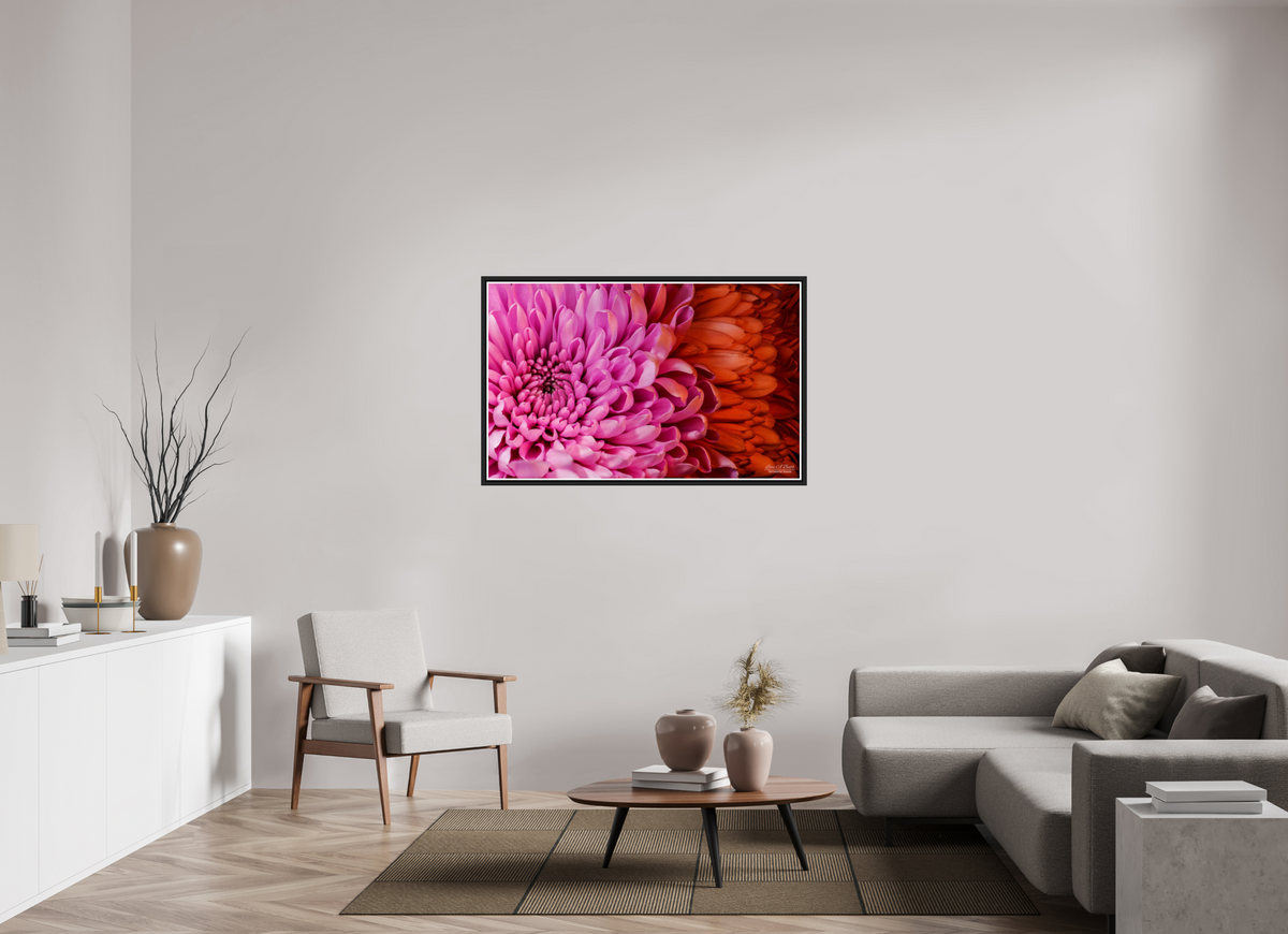 49.6 x 31″, Black Matte Floater Frame with Acrylic Glass ??