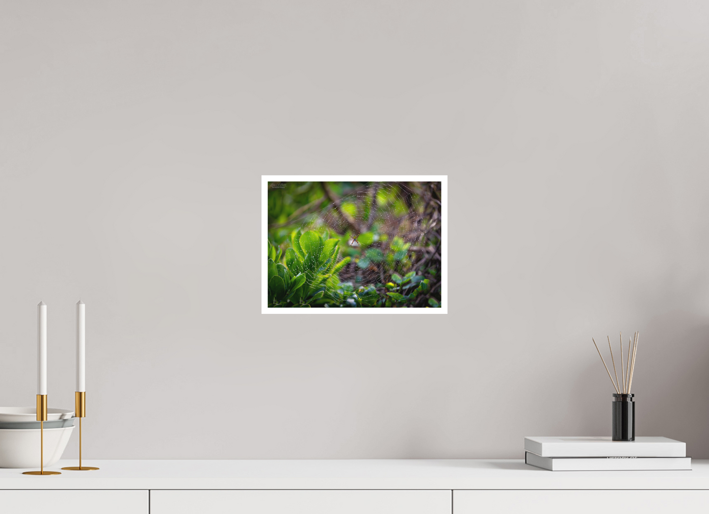 11 x 8″, Print with Matte Lamination Hawaiian Garden Spider Web