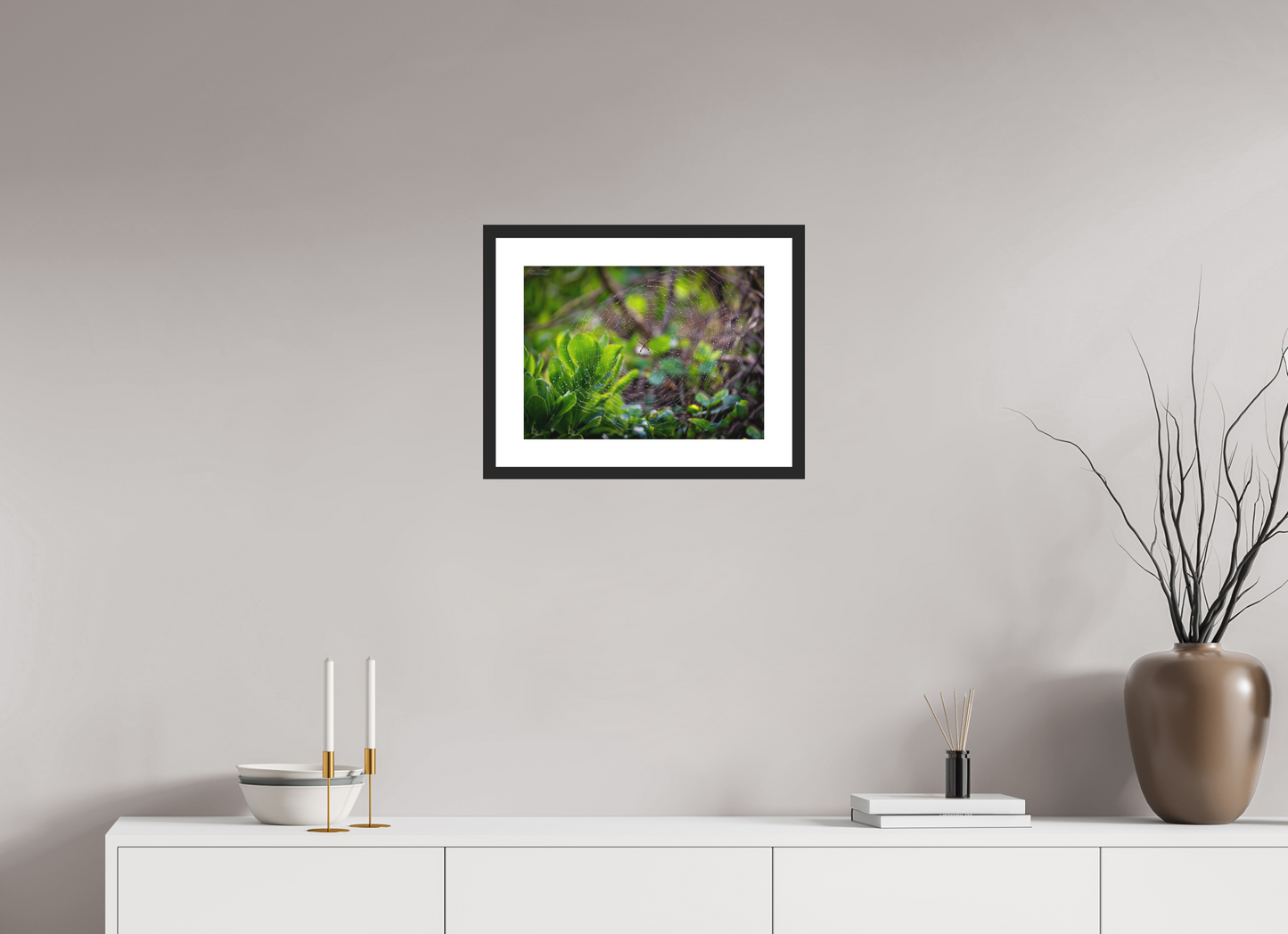 16.5 x 12″, Classic Black Matte Wood Frame Hawaiian Garden Spider Web