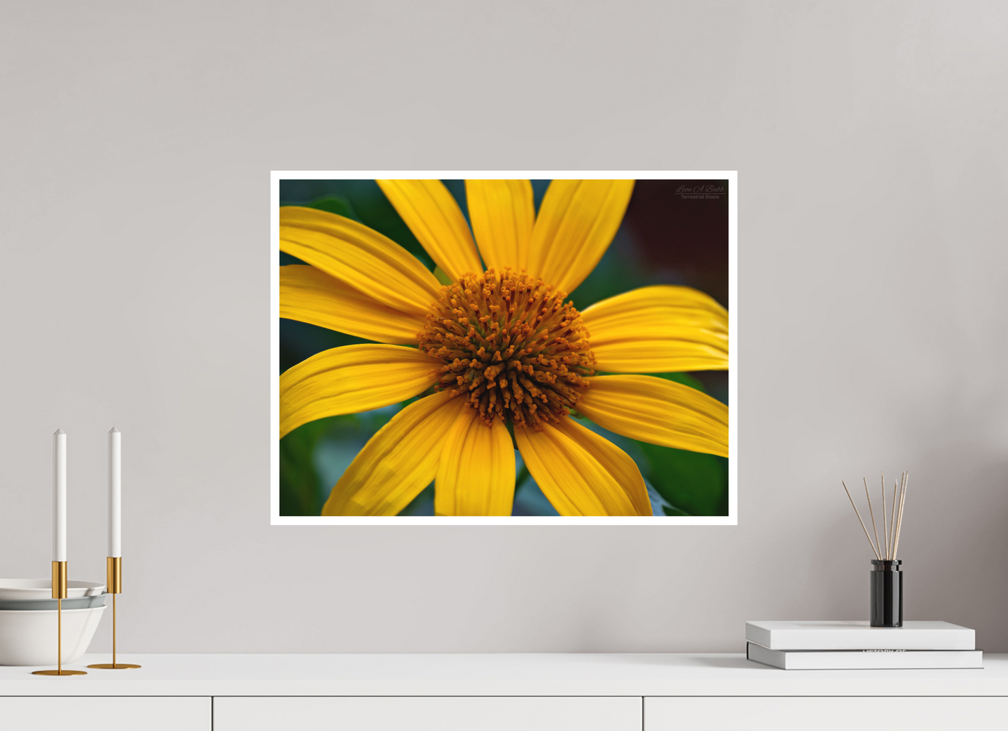 20 x 15″, Photo Print with Matte Lamination (07A) Yellow Flower