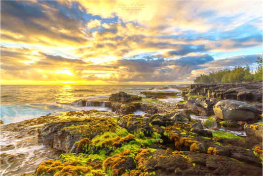 (05C) Maku’u Sunrise