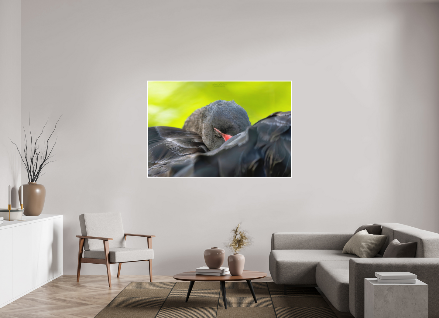 66 x 44″, Photo Print with Matte Lamination (08A) Black Swan
