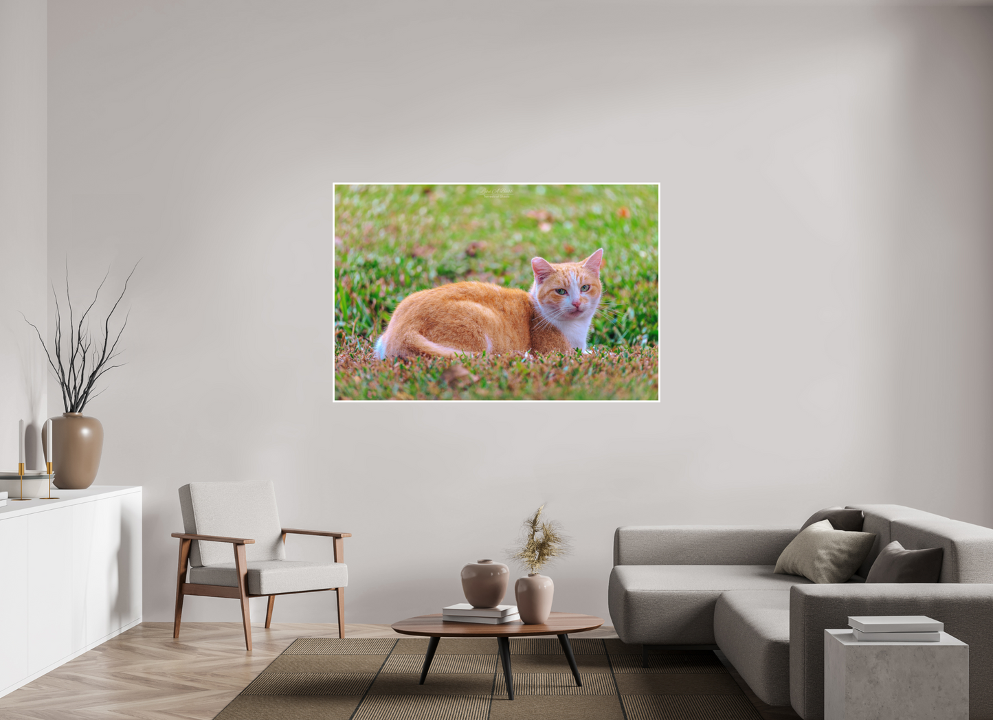 66 x 44″, Photo Print with Matte Lamination (08H) Hawaii Strays in Color