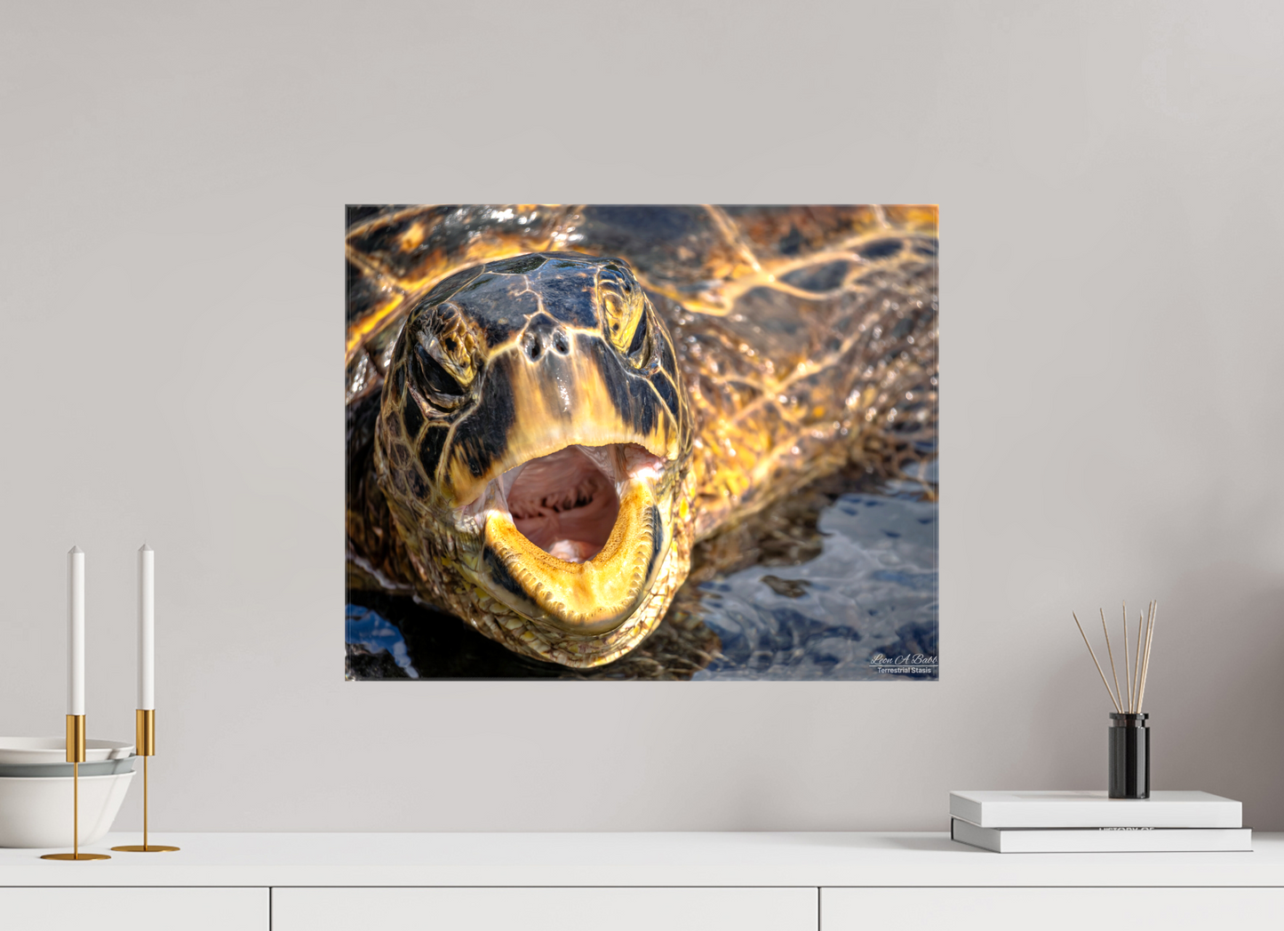 20 x 16″, Glossy Canvas Stretcher Frame with Mirrored Edges (000) Honu’s Serenade